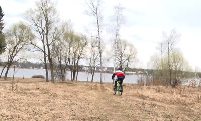 Новая жизнь Павловской рощи: каким будет ее облик, решат ярославцы