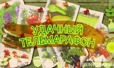 «Первый Ярославский» в преддверии дачного сезона провел «УДачный телемарафон»