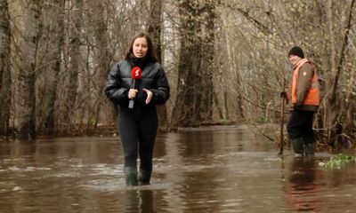 Режим ЧС, затопленные дома и дороги и упавшие деревья: Ярославская область приходит в себя после апрельских капризов погоды