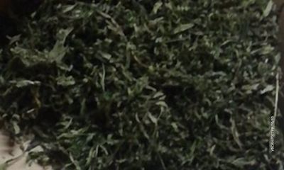 В лечебно-исправительное учреждение в Ярославской области пытались передать коноплю