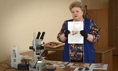 Рубрика «Личные финансы» в передаче «Овсянка». Купюры: сохранность