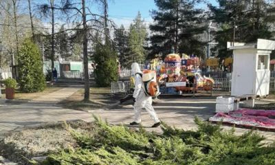 Парки Ярославля обработали от клещей