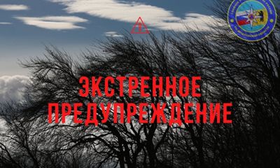 МЧС: до вечера пятницы в Ярославской области ожидается сильный ветер