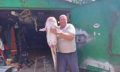 У моста через Которосль в Ярославле поймали 25-килограммового сома