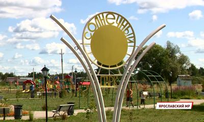 В Ярославской области в селе Туношна обновят хоккейный корт