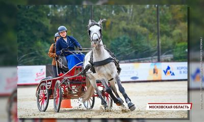 Лучшая в стране - ярославна Екатерина Попова стала чемпионкой России по конному спорту