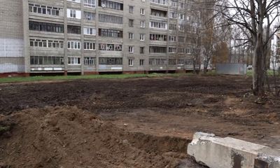 Жители домов по улице Нефтяников Ярославля жалуются на вырубку многолетних деревьев