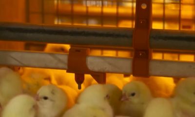 За 2 года экспорт Ярославской пищевой продукции увеличился почти в 2 раза