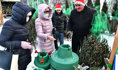 Где купить елку в Ярославле и Рыбинске: адреса