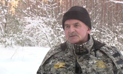 За незаконно срубленную елочку под Новый год ярославцы могут оказаться в тюрьме