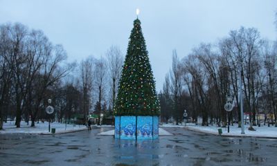 Синоптики предупредили ярославцев о резком потеплении: дата