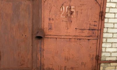 «Скончалась, не приходя в сознание»: установлена личность женщины, погибшей от укусов собак в Ярославской области