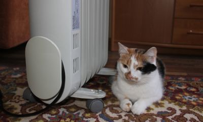 Ярославцам рассказали, как рассчитать цены на услуги ЖКХ, если сломался счетчик