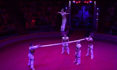 Новое представление в ярославском цирке собрало аншлаг