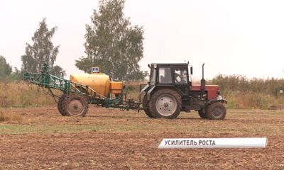 Кому больше вредят американские санкции? Экономист назвала российские товары, которые необходимы за рубежом