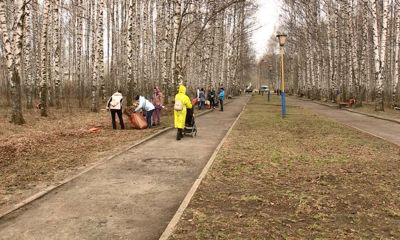 В Ярославле организуют общегородской субботник