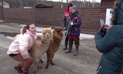 Эвакуированные жители Донбасса посетили ярославский зоопарк