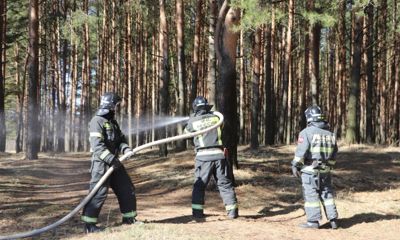 Наступает пожароопасный сезон: ярославские спасатели провели учения