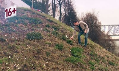 В мэрии Ярославля рассказали, когда на Волжской набережной уберут мусор