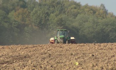 Когда что сажать: лунный посевной календарь на 2022 год