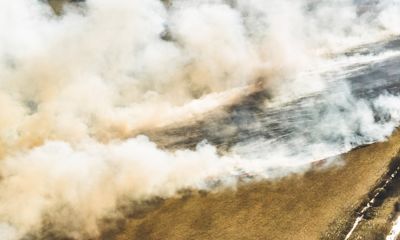 В новом выпуске «Разберемся вместе» эксперты обсудят обстановку с тушением пожаров в Ярославской области