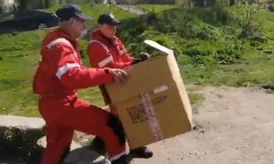 Утки на воду: в центре Ярославля прошла спасательная операция