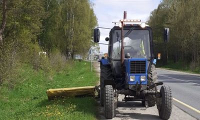 Осторожно, борщевик: в Ярославской области начали борьбу с опасным растением