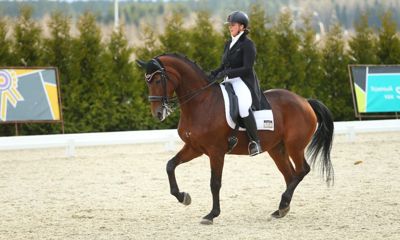 Ярославские конники успешно выступили на первой выездке сезона