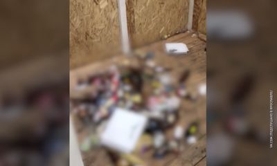 В парке Судостроителей в Ярославле вандалы устроили погром