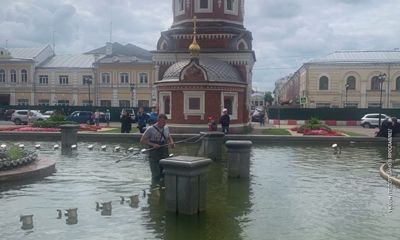 В центре Ярославля спасли утку с утятами