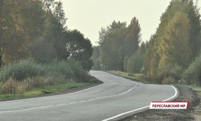 Назвали населенные пункты Ярославской области, в которых можно встретить медведей