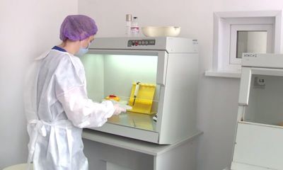 25,7% пострадавших — дети: сколько человек пострадали от укусов клещей в Ярославской области