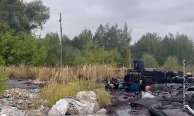 Продолжается расследование по факту токсичной свалки под Ярославлем