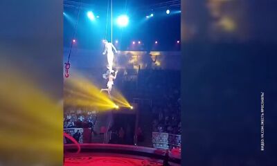 Сорвалась с высоты: на гастролях в Омске пострадала артистка цирка из Ярославля