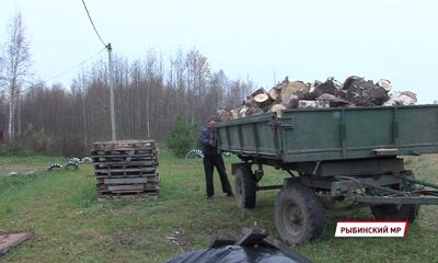 В Рыбинском районе волонтеры штаба «Мы вместе» помогли местной жительнице подготовить дрова на зиму