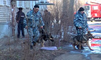 «Объекты будут обследованы кинологом с собакой»: рассказали, как будет обеспечиваться безопасность ярославцев в новогодние праздники