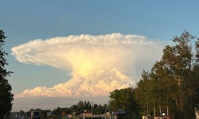 В небе над Ярославлем заметили редкое облако причудливой формы
