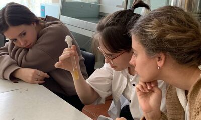 Ярославские школьники могут углубленно изучать математику, химию и биологию