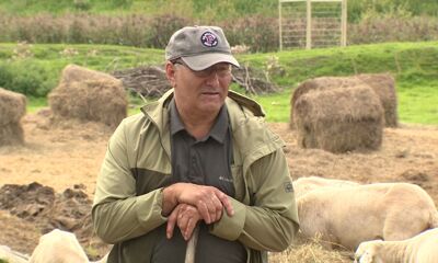 Около 23 миллионов рублей получили в этом году на развитие начинающие фермеры