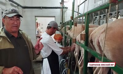 Начинающие ярославские фермеры могут получить грант на расширения производства