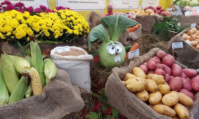 Ярославцев приглашают посетить выставку «Ярагро»