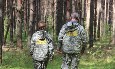 В Ярославской области стали меньше вырубать деревья