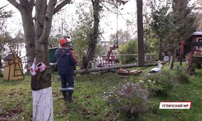 В Ярославской области продолжается процесс модернизации электрических сетей