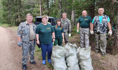 Ярославские леса очистили от 450 кубометров мусора