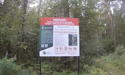 В особо охраняемых природных территориях Ярославской области пресечено около 400 нарушений