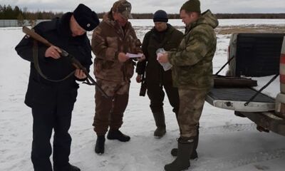 ​Нарушители природоохранного законодательства Ярославской области оштрафованы на 1,77 млн рублей