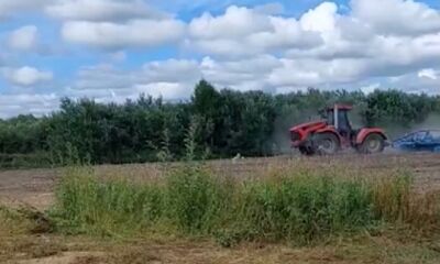 «Поле совершенно чистое»: министр АПК не нашел отходов на поле под Рыбинском