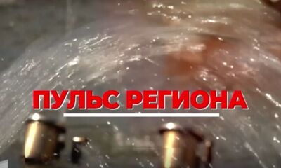 «Пульс региона»: министр труда и социальной поддержки населения подводит итоги полугодия