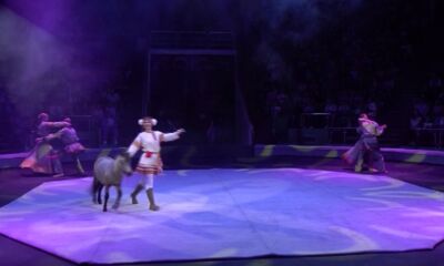 1600 детей из сел и деревень посетили Ярославский цирк