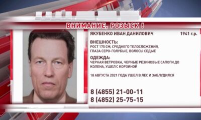 В Ярославской области более трех лет ищут заблудившегося в лесу мужчину